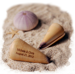 unknown Personalized Virgo Cone Sea Shells