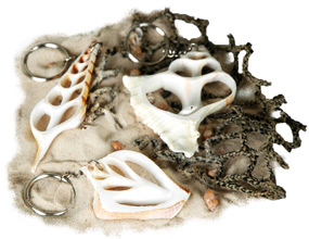 unknown Sliced Beach Seashell Keychain